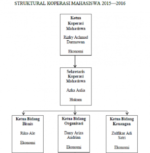 Struktur Koperasi Mahasiswa